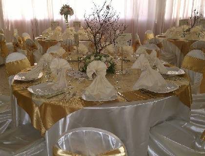 Paquete Premium Completo